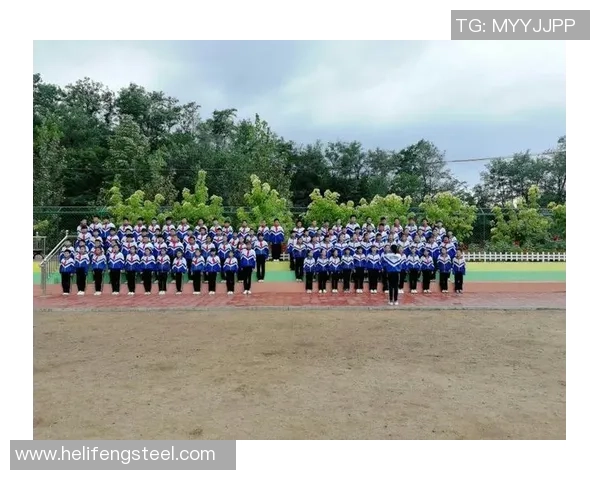 广州篮球队奋斗历程的真实记录与精神传承